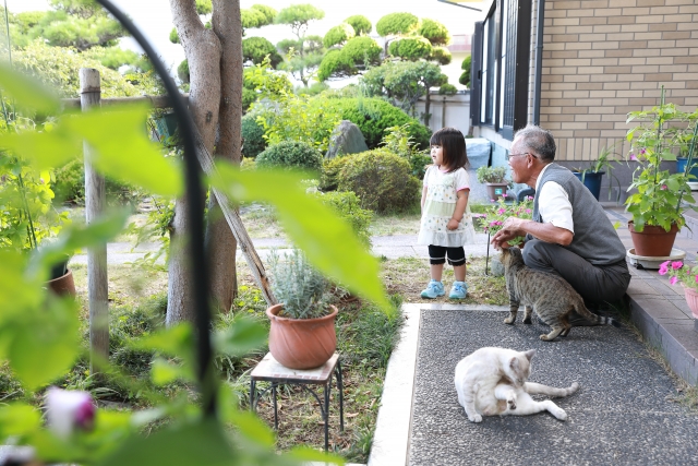 おじいちゃんと孫と猫